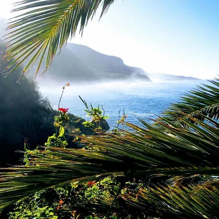 公寓 La Pardela Oceanfront 洛斯雷尔雷赫斯