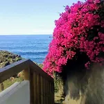 La Pardela Oceanfront Διαμέρισμα Λος Ρεαλέχος