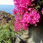 La Pardela Oceanfront Διαμέρισμα *