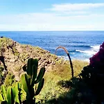 Διαμέρισμα La Pardela Oceanfront Λος Ρεαλέχος
