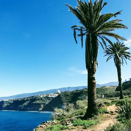 La Pardela Oceanfront Apartament *