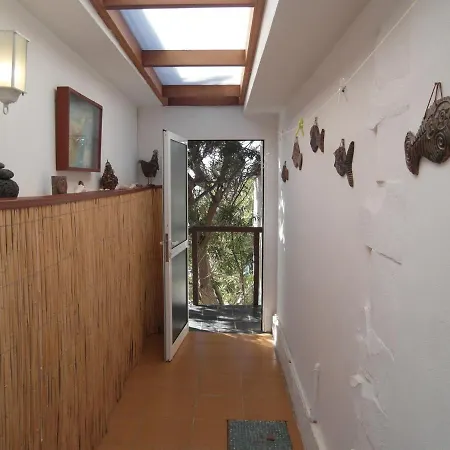 Apartamento La Pardela Oceanfront Los Realejos