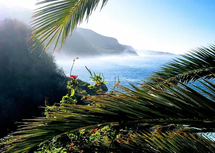 דירה La Pardela Oceanfront לוס ריאלחוס