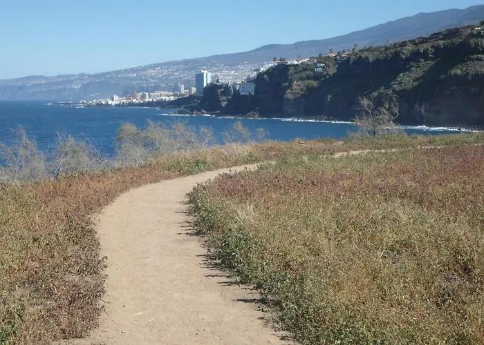 La Pardela Oceanfront Daire *