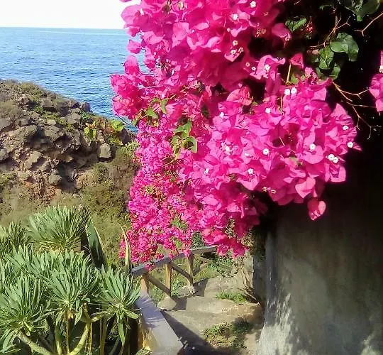 La Pardela Oceanfront Apartmán *