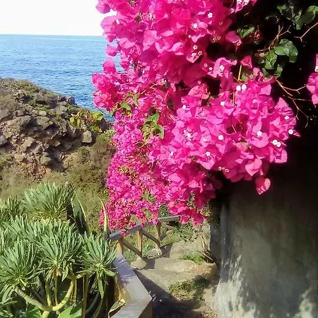 La Pardela Oceanfront Apartamento *